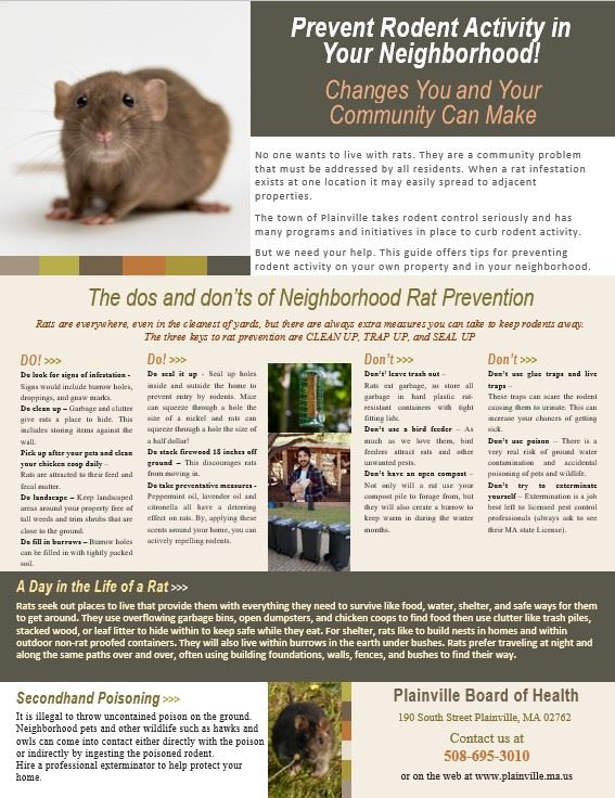 Rat Prevention Poster