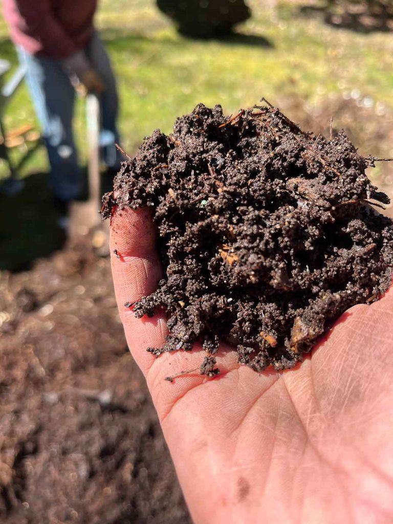 compost-in-hand-pic-1-768x1024