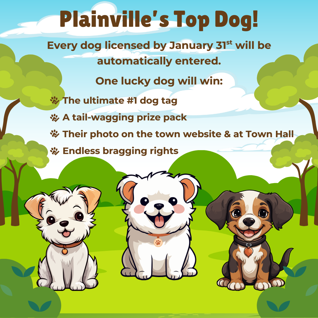 2026 Top Dog Social Media Post